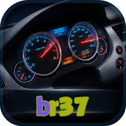 br37